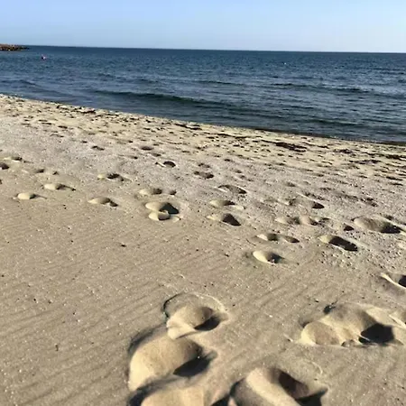 Coral * Свети Влас